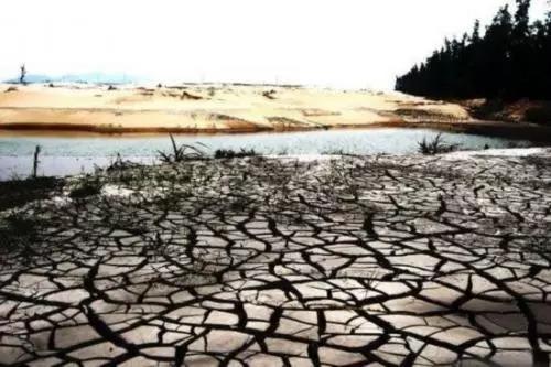 1554101433433258.jpg 1554101433433258.jpg