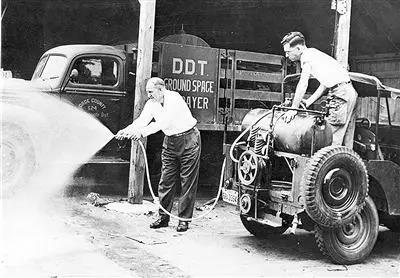 1554101474254119.jpg 1554101474254119.jpg