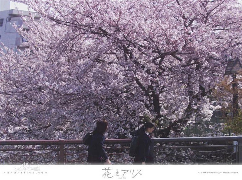 1544151654161804.jpg 640 (1).webp (7).jpg