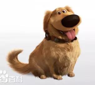 1554952219419921.jpg 1554952219419921.jpg