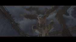 1544595731981597.gif 1544595731981597.gif