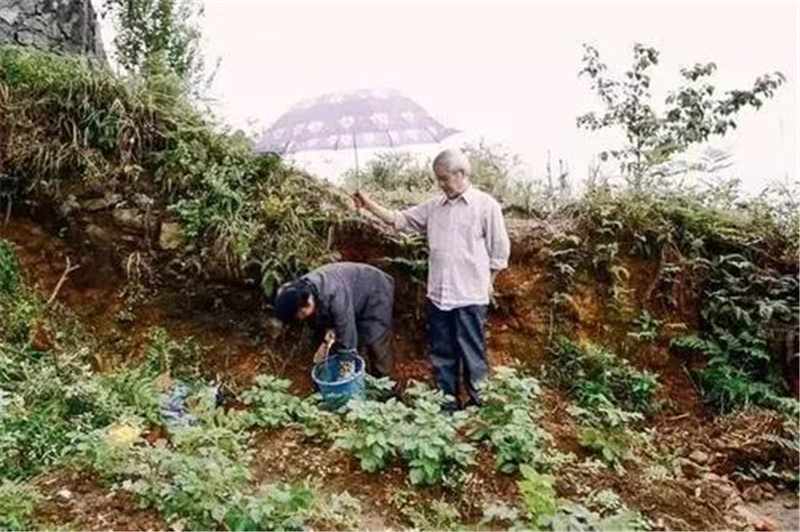 1553829777822753.jpg 微信图片_20190329112105.jpg