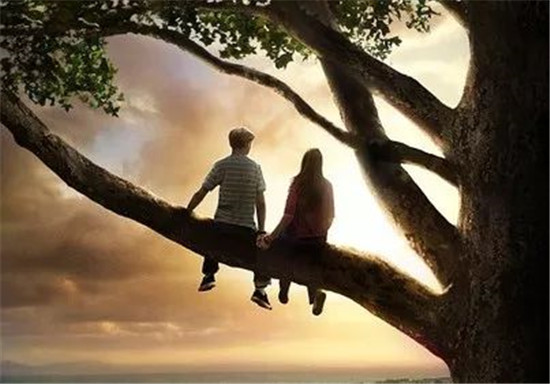 1521534356583984.jpg 640 (1).jpg