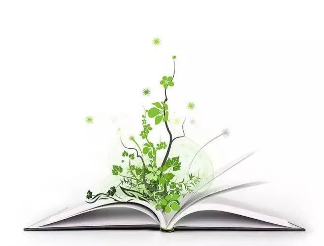 1510024732146087.jpg 1.jpg