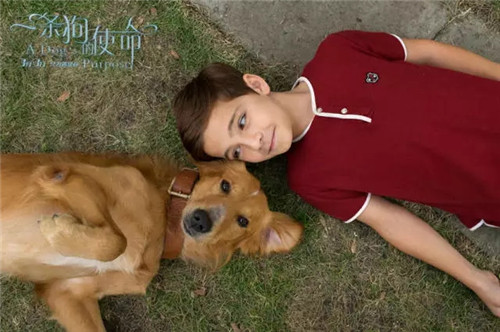 1510560418440765.jpg 1510560418440765.jpg