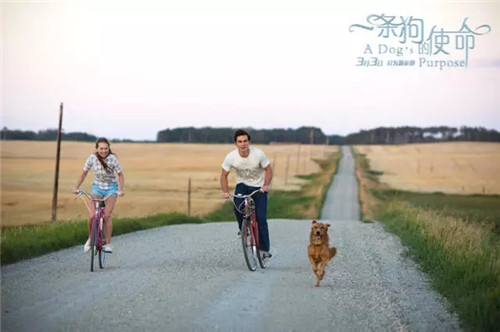 1510560354577331.jpg 1510560354577331.jpg