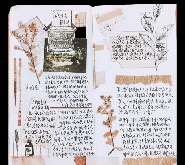 1524121721512573.jpg 1524121721512573.jpg