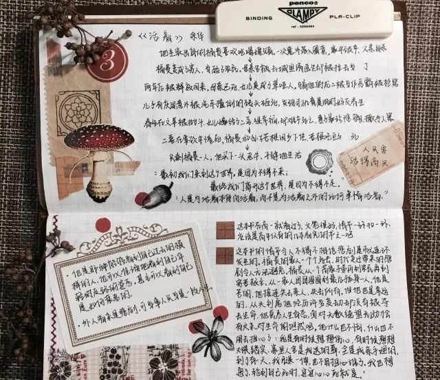 1524121894701965.jpg 1524121894701965.jpg