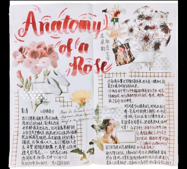 1524121747659179.jpg 1524121747659179.jpg