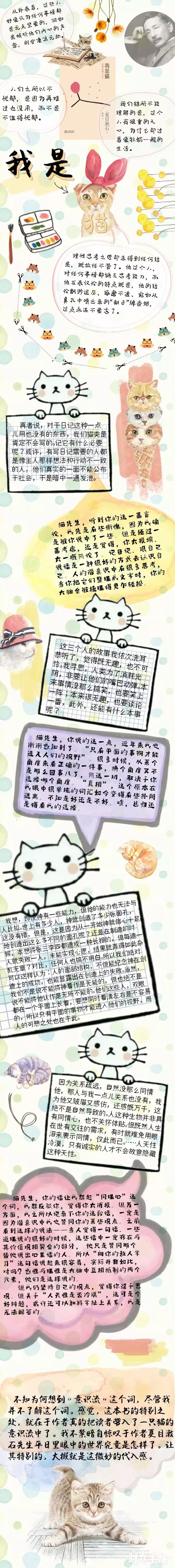 1524122073595092.jpg 1524122073595092.jpg